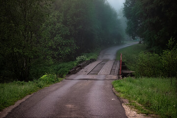 The road going into the fog. Forest road. Mystical landscape.