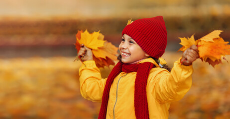 A girl in an autumn park holds red and yellow maple leaves in her hands.