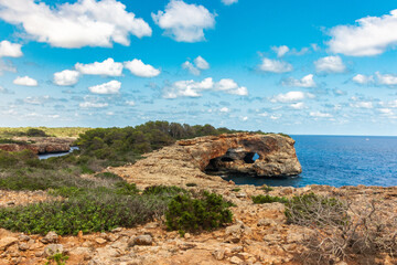 ruins of the old castle