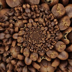 coffee beans on a white background