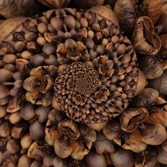 Coffee background and abstract coffee 