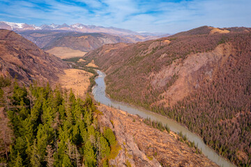 Aerial top view Beautiful landscape with river and autumn forest with snow peaks mountains Chuysky tract, Altai Kurai steppe Russia