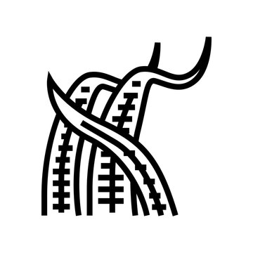 cryptocoryne balansae line icon vector. cryptocoryne balansae sign. isolated contour symbol black illustration