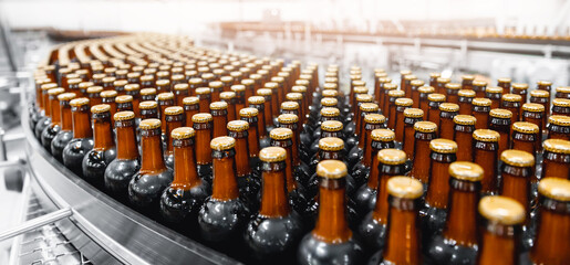 Obraz premium Brown glass beer drink alcohol bottles, factory brewery conveyor. Modern food production line with sun light