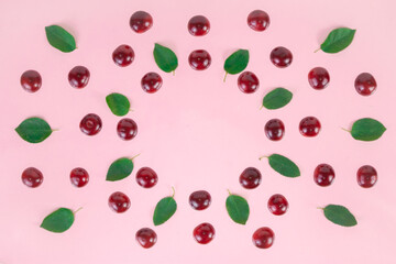 Ripe cherries and green leaves arranged in a circle on a pink background. Concept of berries season and proper nutrition.
