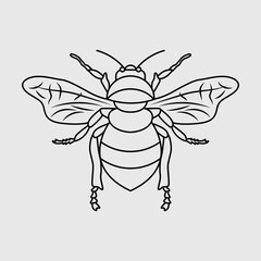 Fototapeta na wymiar Bee SVG Cut File, Bumble Bee Svg, Honey Bee Svg, Honeycomb, Honey Drip Svg, Bee Outline, 