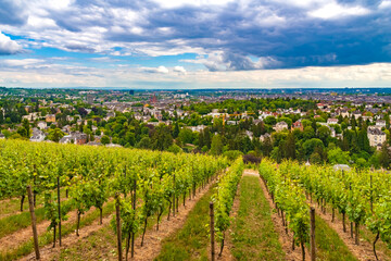 Fototapeta na wymiar Lovely panoramic view of Wiesbaden, state capital of Hesse, Germany, seen from the Wiesbadener Neroberg vineyard on the southern slope of the Neroberg hill.