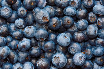 Blueberry background. Texture blueberry, diet berries close up. Blueberry harvest