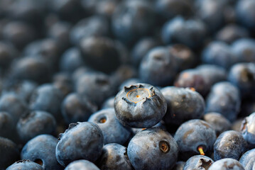 Fresh blueberry background. Texture blueberry, diet berries close up. Blueberry harvest