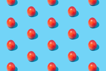 Ripe nectarines are laid out in even rows on a blue background.