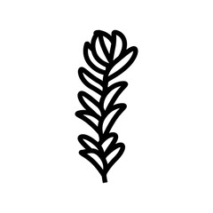 rotala rotundifolia seaweed line icon vector. rotala rotundifolia seaweed sign. isolated contour symbol black illustration