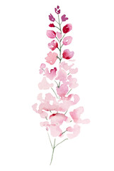 Naklejka na ściany i meble Light pink Watercolor wildflowers and leaves, wedding and greeting illustration elements