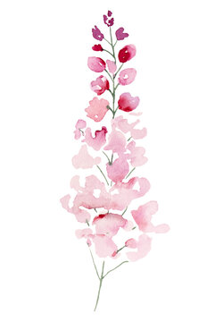 Light pink Watercolor wildflowers and leaves, wedding and greeting illustration elements