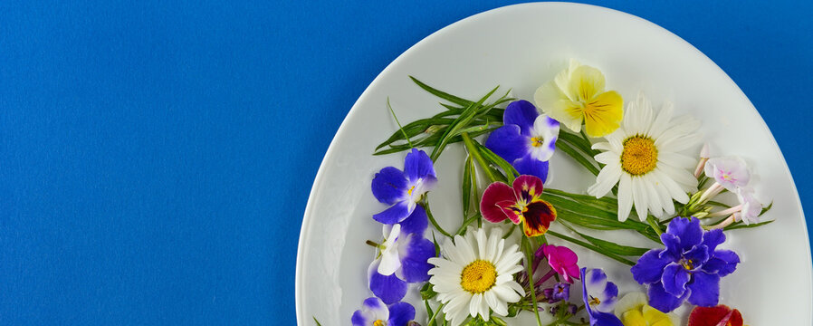 Floral pattern of daisies, phloxes, violets on a white plate on a blue . Free space for text. Wide photo.