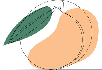 peach drawing one continuous line vector