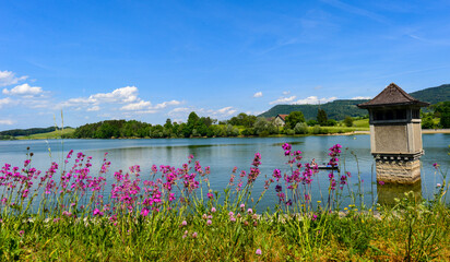 Lac de Bret auf dem Gemeindegebiet von Puidoux, Kanton Waadt (Schweiz) 