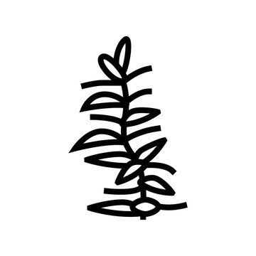 hydrophilia polyspermy line icon vector. hydrophilia polyspermy sign. isolated contour symbol black illustration