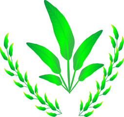 Flora plants tree for decorative