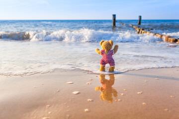 Joy in Beachwear at Seashore / Little teddy bear enjoy waves of the sea at summer beach shore, reflection on wet sand (copy space) - 522785786
