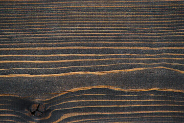 Abstract background, texture burnt wooden board.