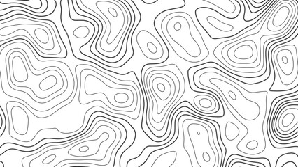 Fototapeta premium White wave paper curved reliefs abstract background, Abstract topographic contours map background. Geographic mountain relief. Abstract lines background. Contour maps. Business concept.