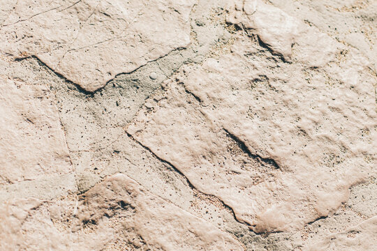 Stone Texture or Background in monochrome. Close-up.