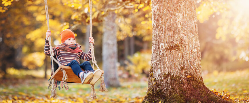 Happy girl sitting on the swing in autumn natural park