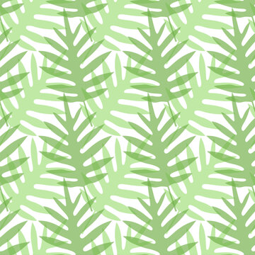 Seamless pattern of Lauae fern leaves on white background