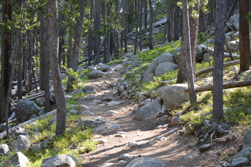 Mountain Hiking Trail