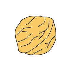 Walnut icon in color, isolated on white background 