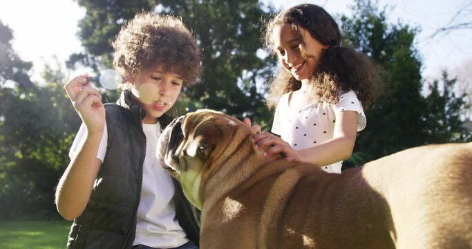 Cute siblings play with their dog outside in the backyard during summer. Cheerful brother and sister having fun while rubbing their loyal, furry and fun English bulldog outdoors in a public park