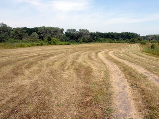 Fototapeta na wymiar Mown wheat field harvest road. Rural road on a mowed field. Cut wheat