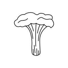 Chanterelle Mushroom  icon in line style icon, isolated on white background