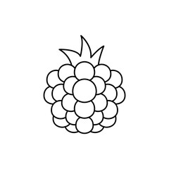 Blackberry fruit icon in line style icon, isolated on white background