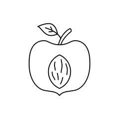 Peach fruit icon in line style icon, isolated on white background