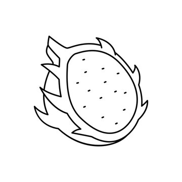 Dragonfruit fruit icon in line style icon, isolated on white background