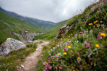hiking in the flowers