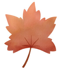 Autumn Leaves Hand drawn watercolor illustration of brown leaf.