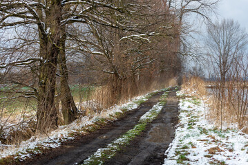 Wczesna wiosna, wiejska droga, śnieg, trawa, błoto i drzewa.