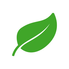Eco leaf or organic product icon