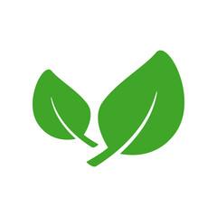 Eco leaf or organic product icon