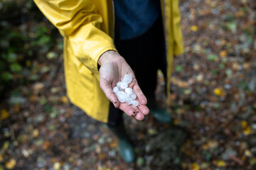 Devastating Hailstorm Icy Stones in Hand of Female Adult Farmer