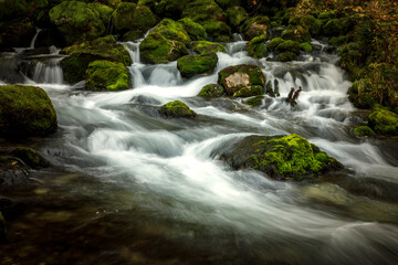 Fototapeta na wymiar Cold Water stream Gljun near Bovec in Julian Alps Slovenia