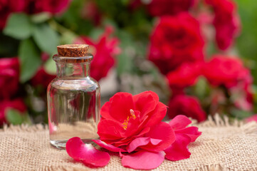 Obraz na płótnie Canvas a jar of rose oil and rose flowers