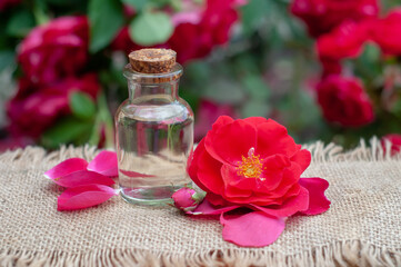 a jar of rose oil and rose flowers
