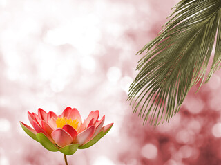 lotus flower against a blurred pink background.