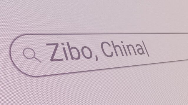 Search Bar Zibo China 
Close Up Single Line Typing Text Box Layout Web Database Browser Engine Concept