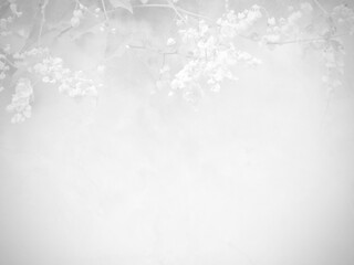 Seamless texture of white cement wall a rough surface and leaf flower shadow gradient, with space for text, for a background.