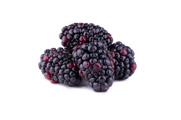Blackberries or Dewberries isolated on a white background