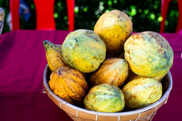 Cocoa in a woven basket